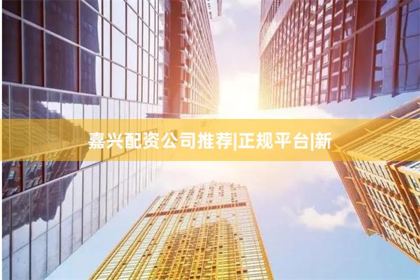 嘉兴配资公司推荐|正规平台|新